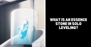 What Is An Essence Stone In Solo Leveling